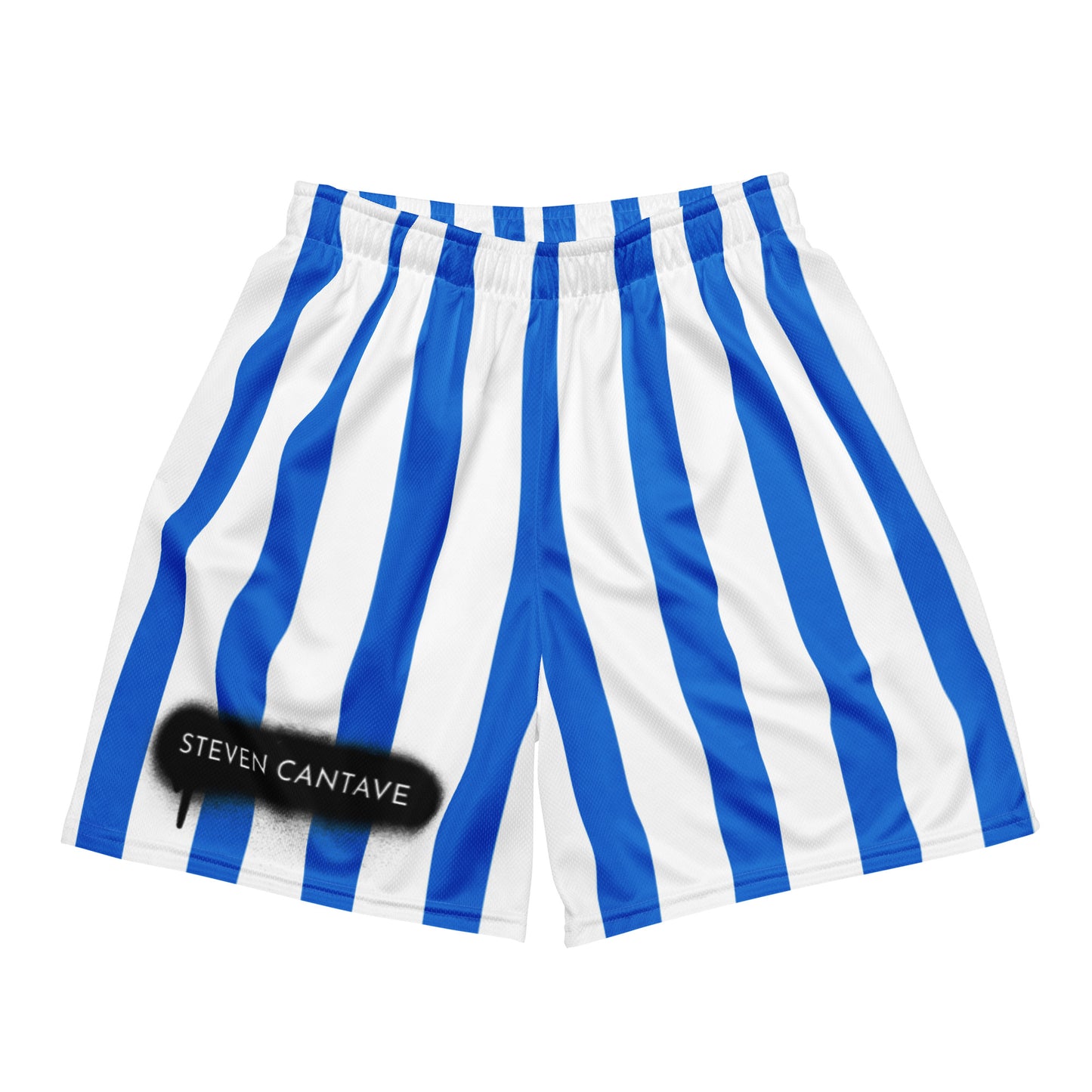 Mesh Shorts In Blue Stripes