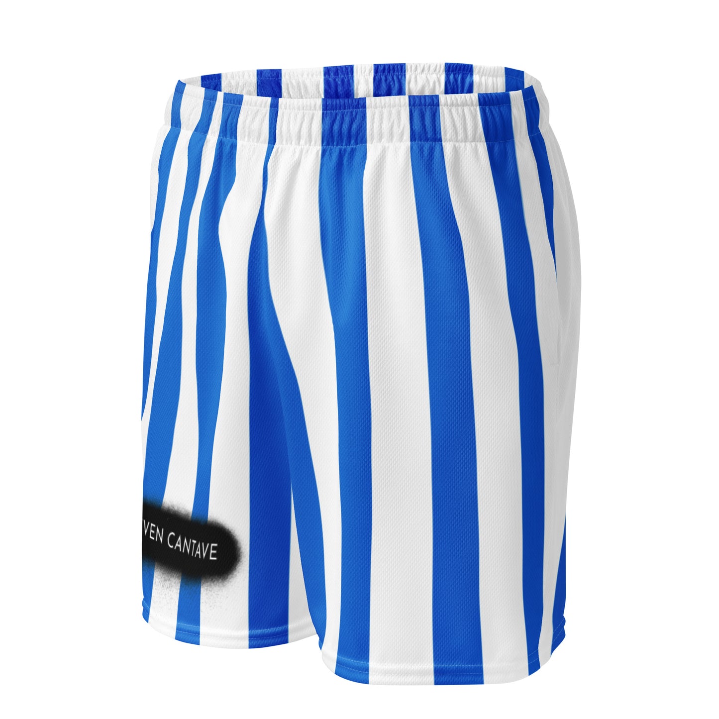 Mesh Shorts In Blue Stripes
