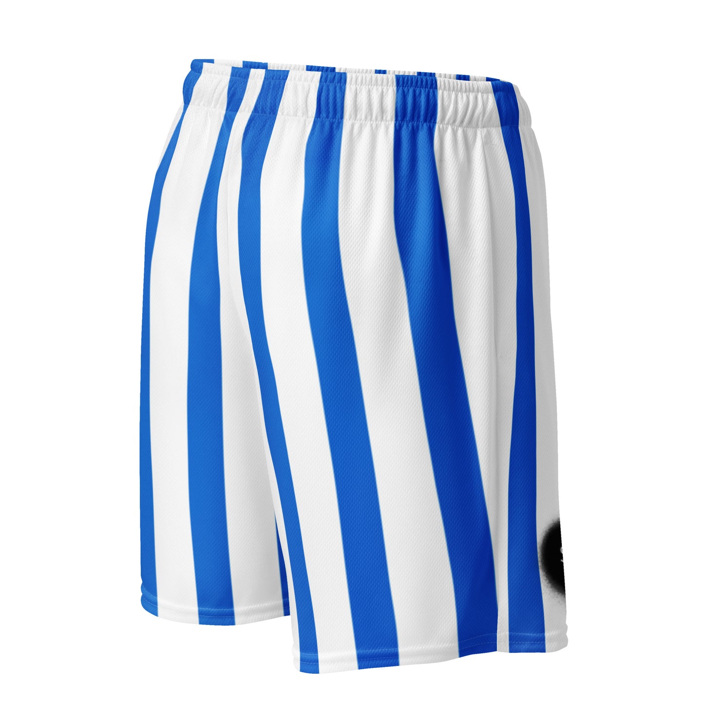 Mesh Shorts In Blue Stripes