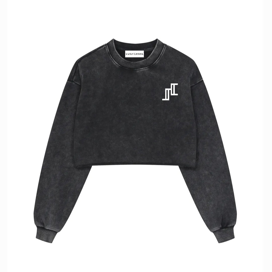 Snow Washed Raw Edge Cropped Sweatshirt