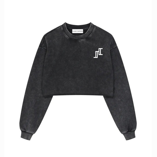 Snow Washed Raw Edge Cropped Sweatshirt